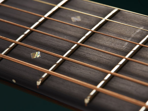 Frets