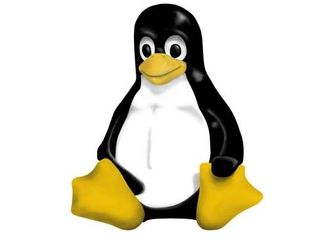 Linux penguin