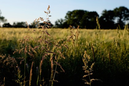 Fuji X-T10 review