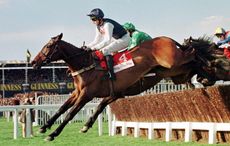 Cool-Dawn-gold-cup-PA-1084877.jpg