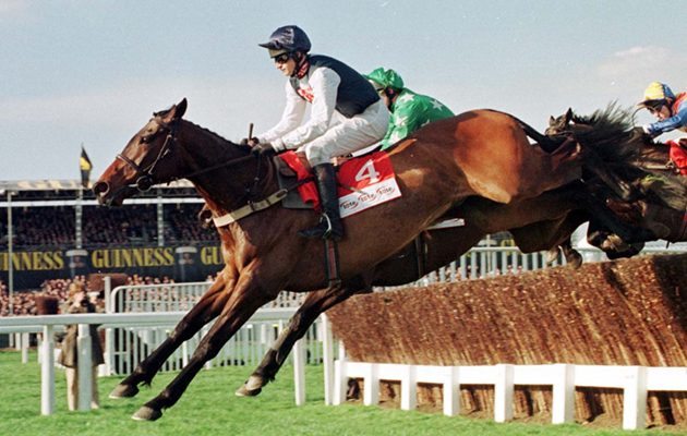 Cool-Dawn-gold-cup-PA-1084877.jpg