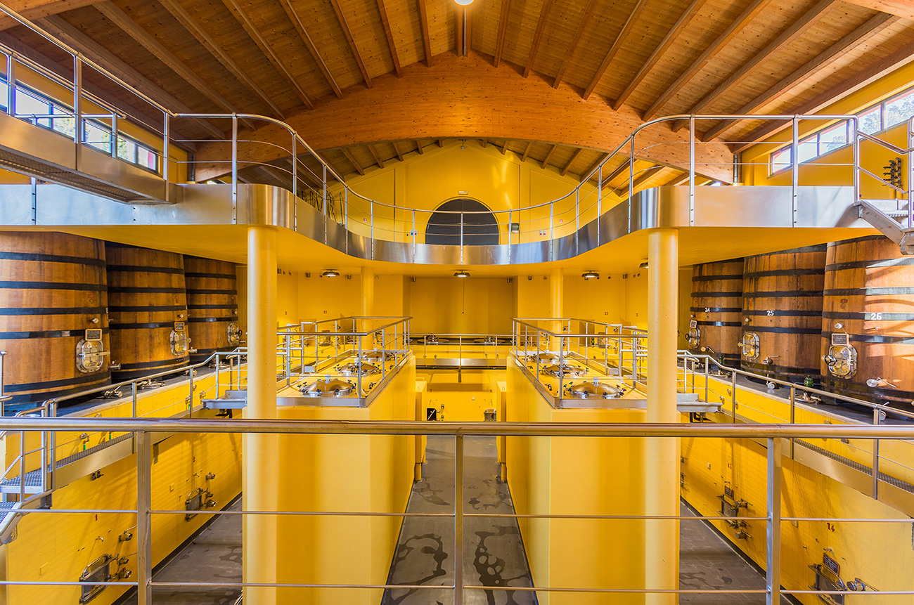 The cellar at Riparbella