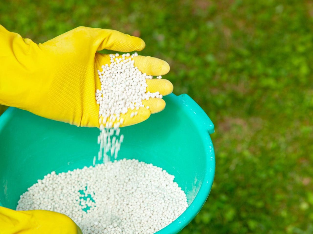 Bowl Of White Plant Fertilizer