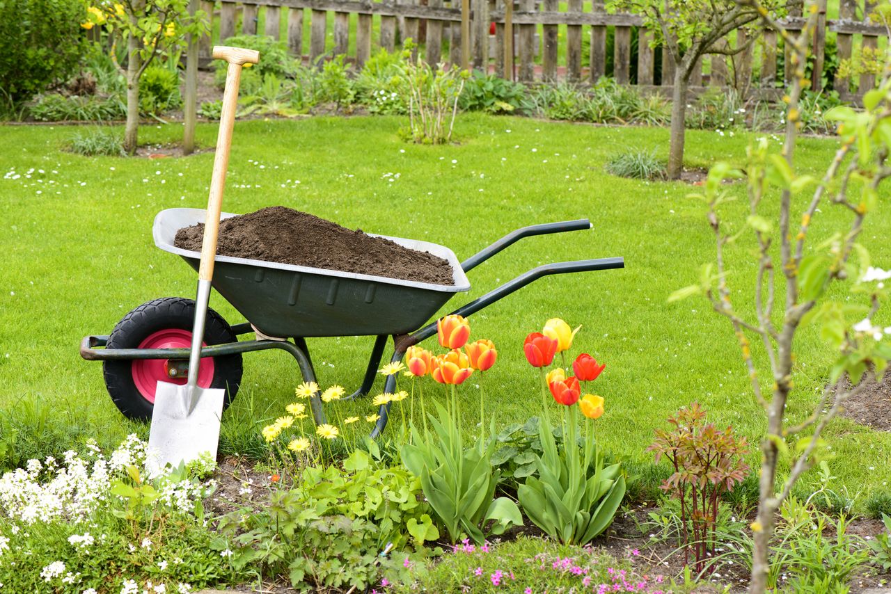 A wheelbarrow.