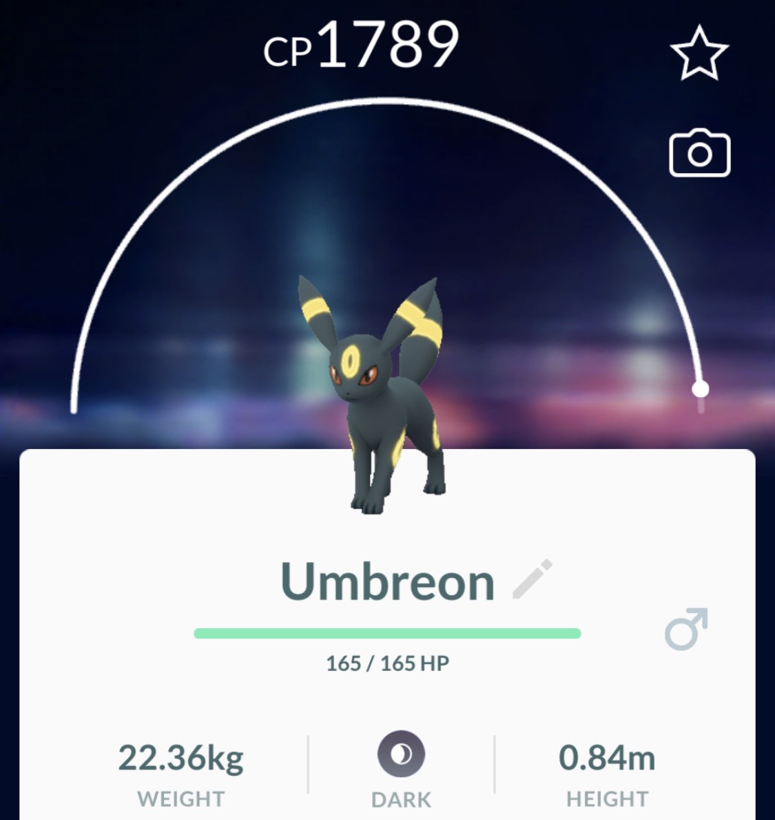 Pokemon Go Eevee evolutions - Umbreon