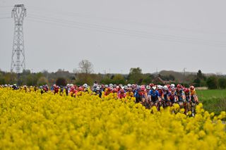 The riders in an early part of Paris-Roubaix Femmes