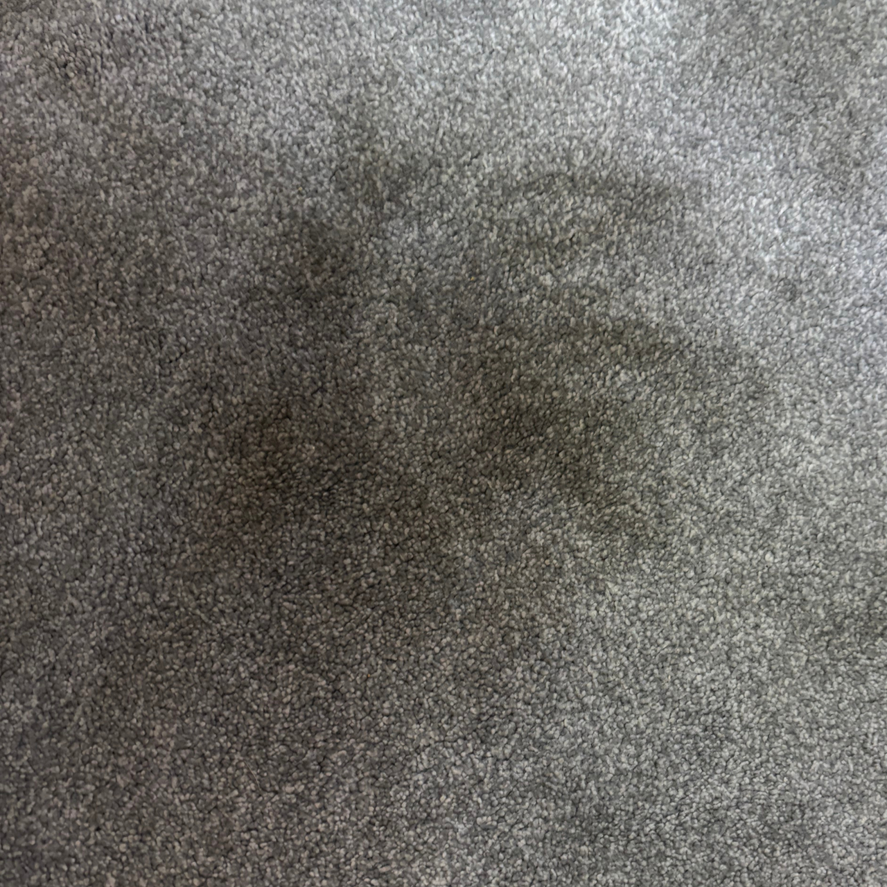 dull mark on grey carpet - Karcher SE 2 Spot Care Spot Cleaner review
