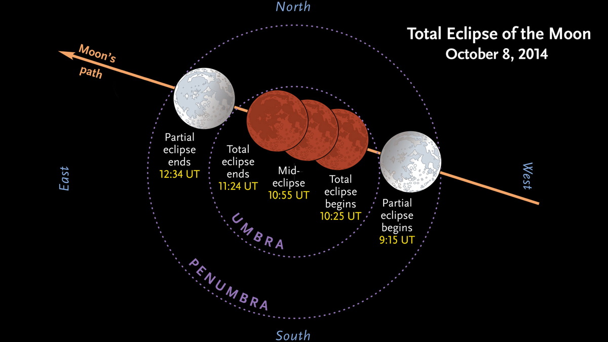 Stages of the Lunar Eclipse on October 8, 2014