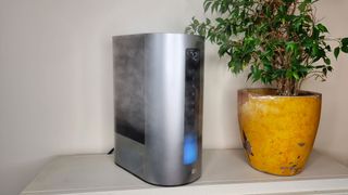 Dreo 713S Smart Humidifier standing on a shelf next to a houseplant