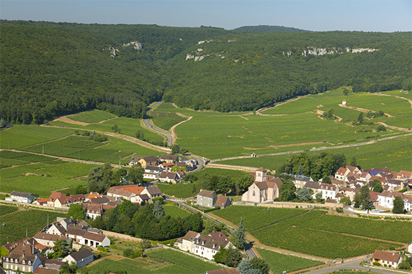 The-village-of-Gevrey-Chambertin.-Credit-Vins-de-Bourgogne.jpg