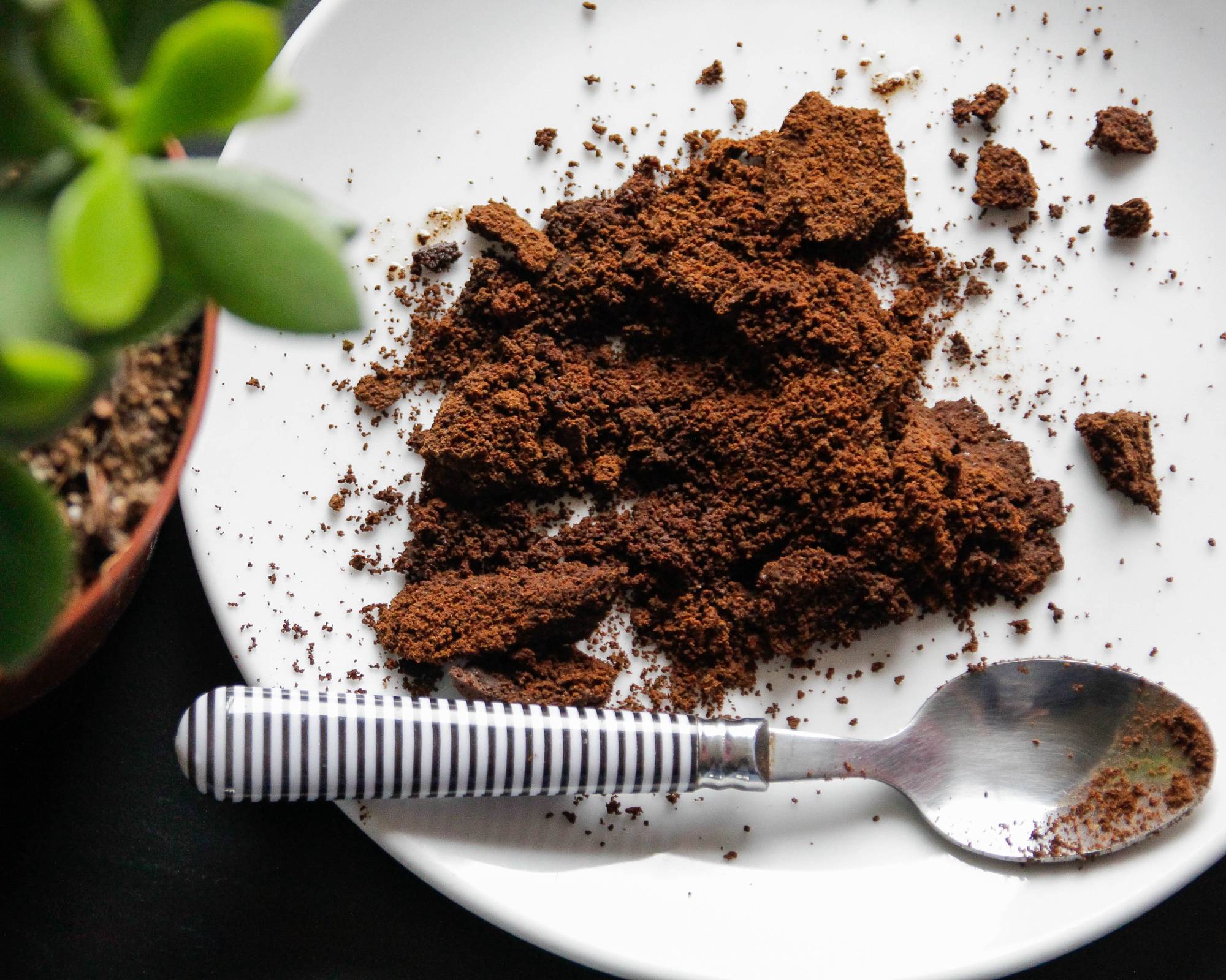 Coffee grounds on plate with spoon