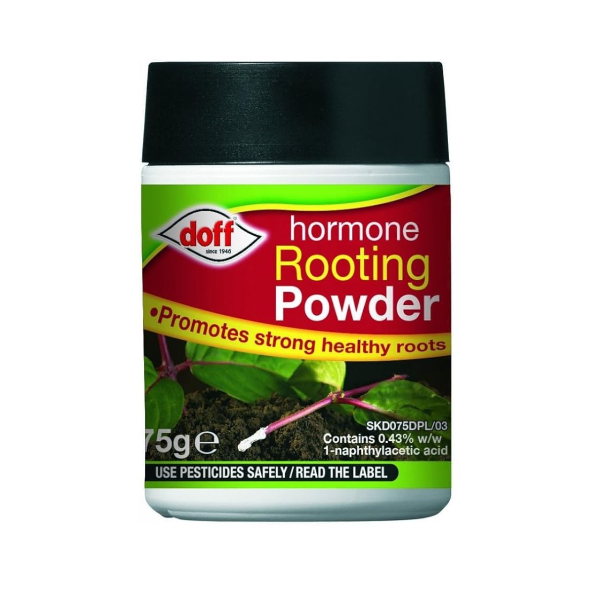 Rooting powder
