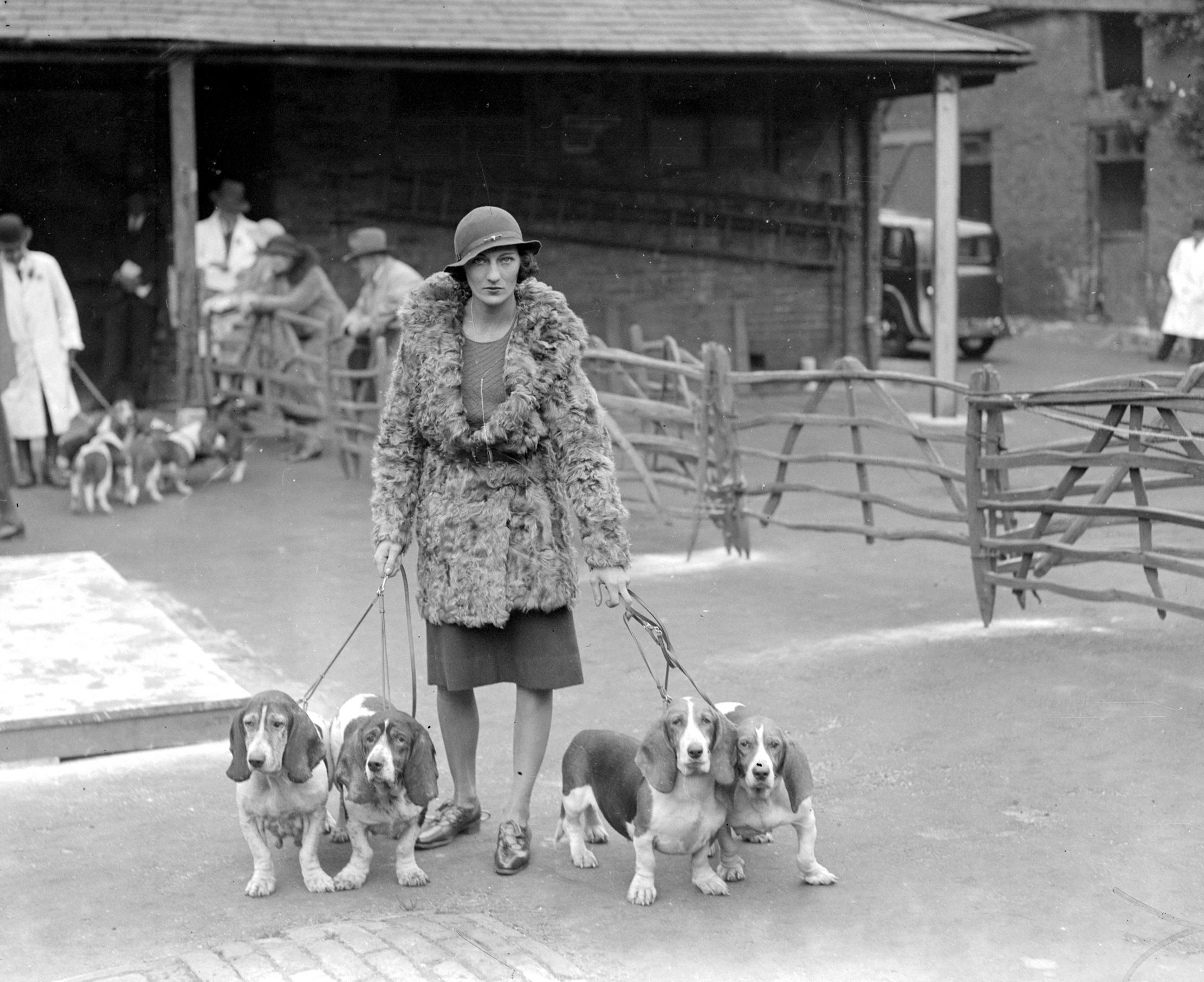 An old image of a lady with four basset hounds