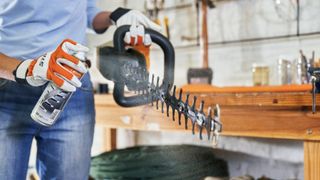 Image of woman spraying hedge trimmer with lubricant