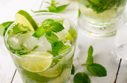 Mojito cocktail recipe