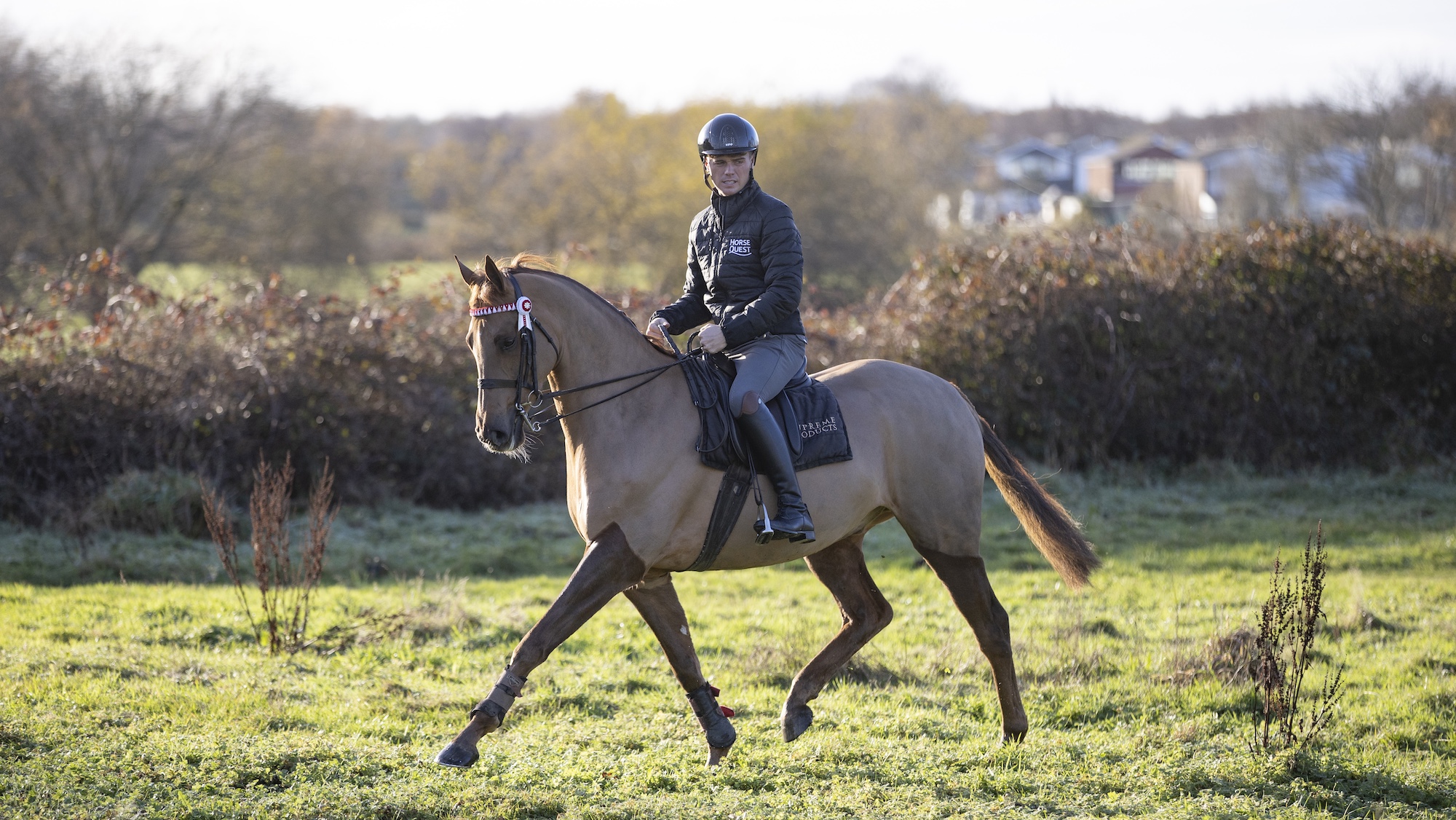 Harrison Taylor hacks out chestnut horse