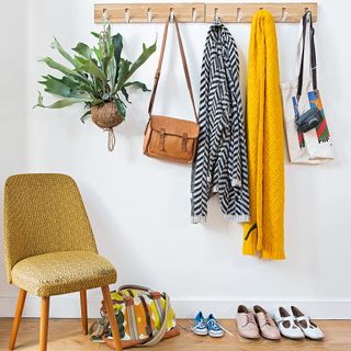 clothes with white wall and hanged potted plants