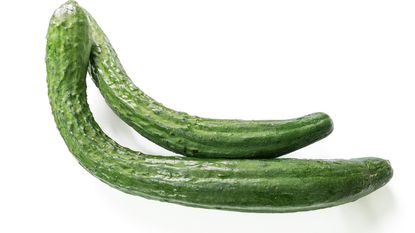 variety of long skinny cucumber/melon