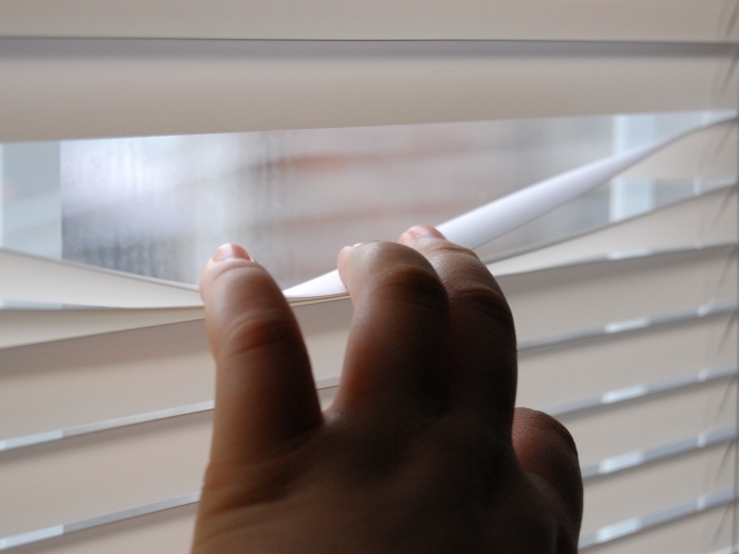 Looking through the blinds