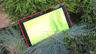 Nokia Lumia 2520 in bush