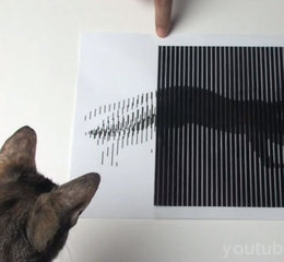 Amazing animated optical illusion | Creative Bloq
