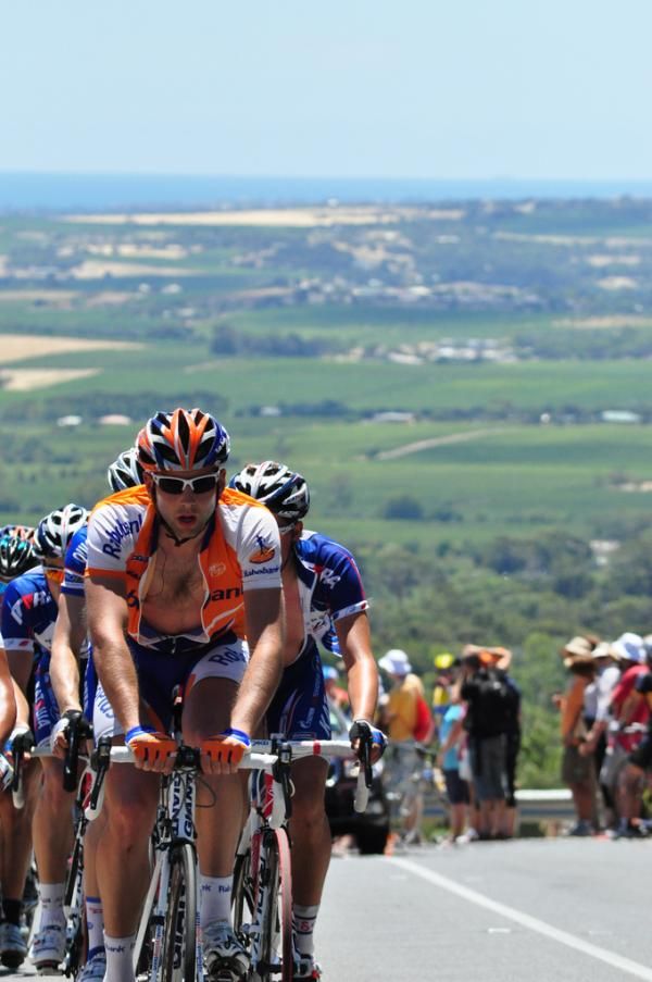 The peloton climbs away from some lush South Australian scenery