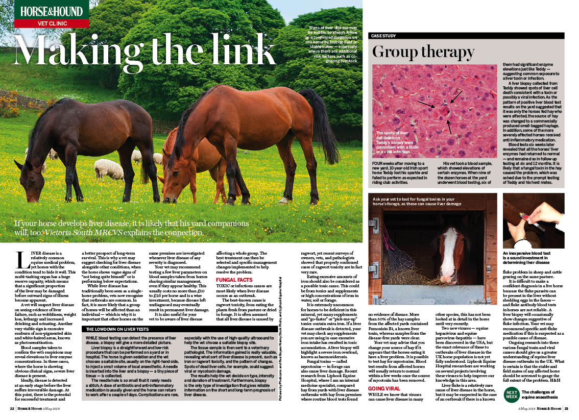VET-2pp-3-5-Liver-Disease.jpg