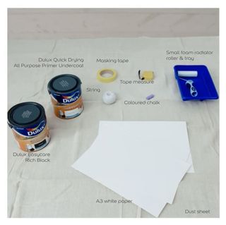 dulux painting equipments