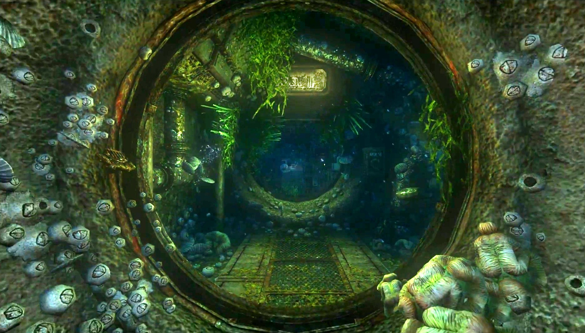 SOMA2