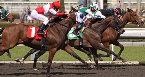 Does A Horse S Post Position Affect Its Chances Of Winning The Kentucky Derby Live Science