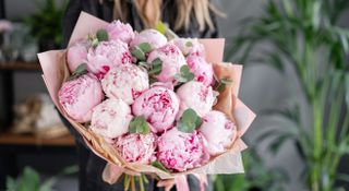 White and pink bouquet of peonies