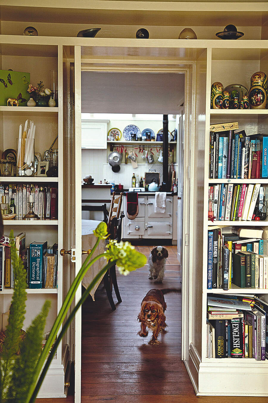 A photo inside Katie Fforde's home as two dogs run between rooms