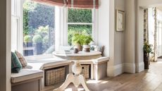 Easiest houseplants to grow outdoors