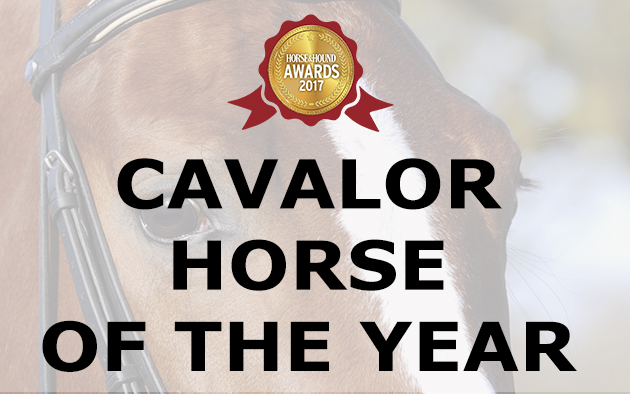 HOTY-award-new.jpeg