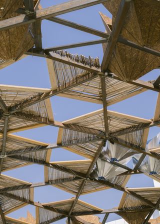 roof seen from below of the art jameel pavilion