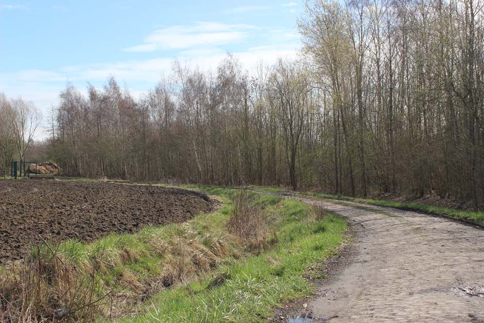 Sector 13 from Auberchicourt to Ecaillon
