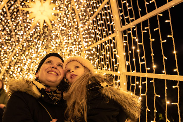 Christmas Garden lights