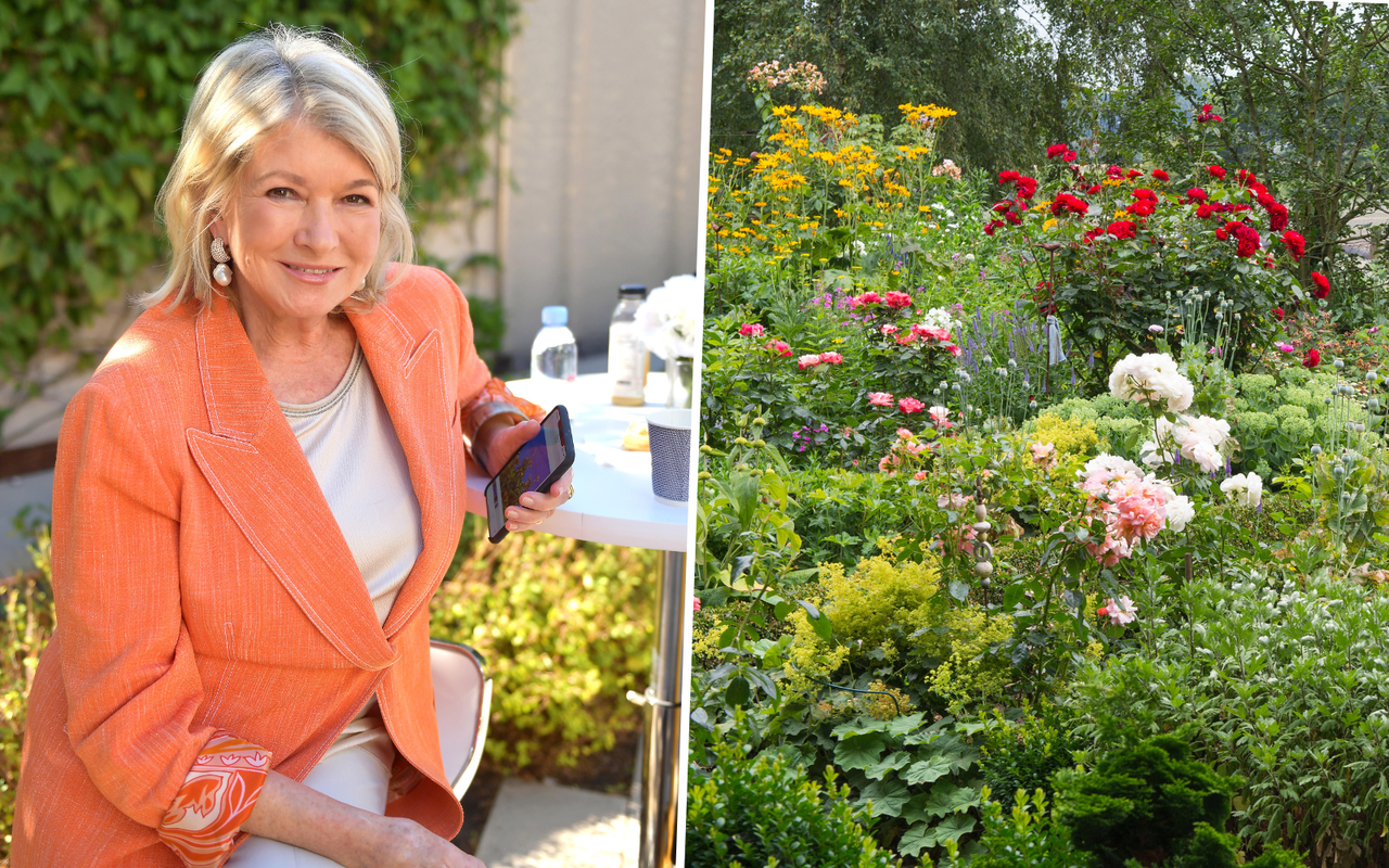 Martha Stewart