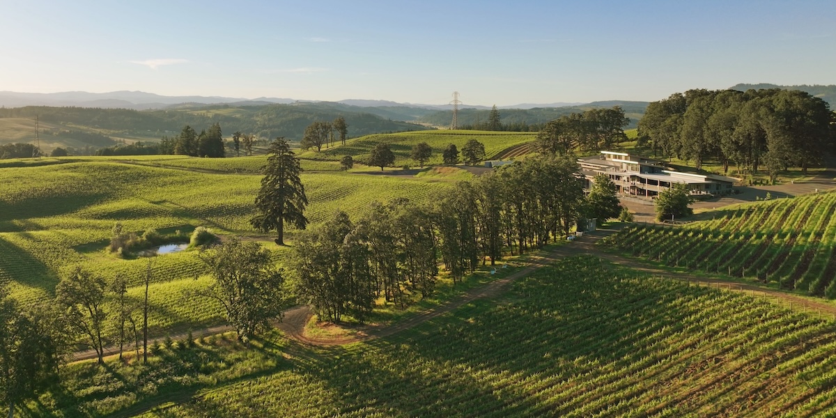 An aerial view of Alexana vineyards and estate in the Willamette Valley.