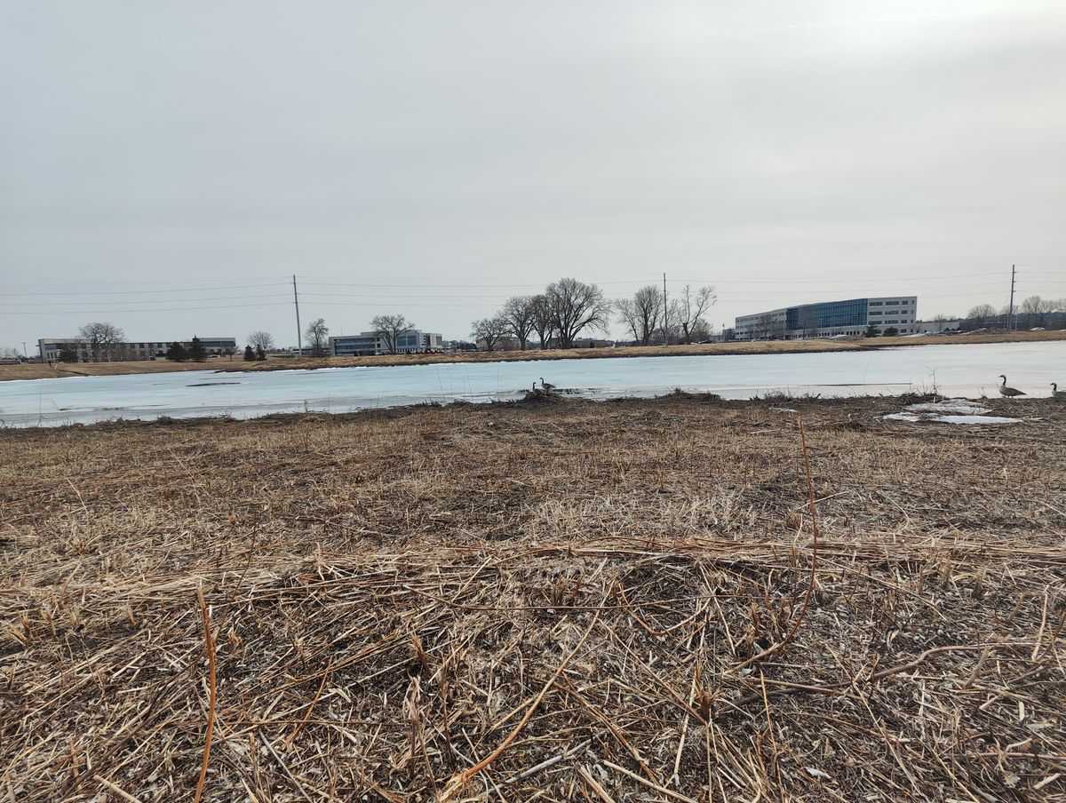 Xiaomi 12 Pro ultra-wide sample photos