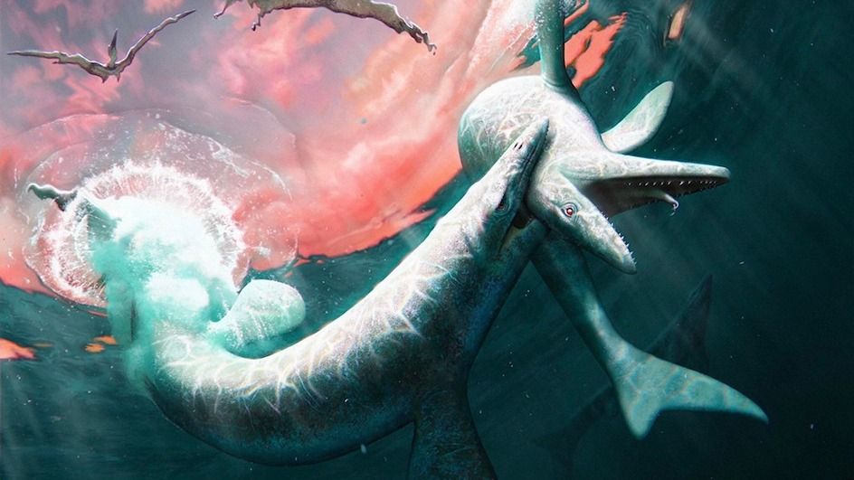 Newly discovered Cretaceous sea monster named after world-ending Norse  serpent | Live Science
