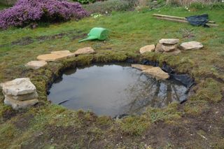 stones used to edge a garden pond