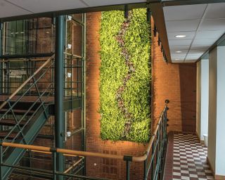 indoor plant ideas: living wall in hallway