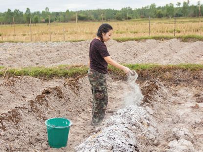 Calcium Being Put Onto Garden Soil