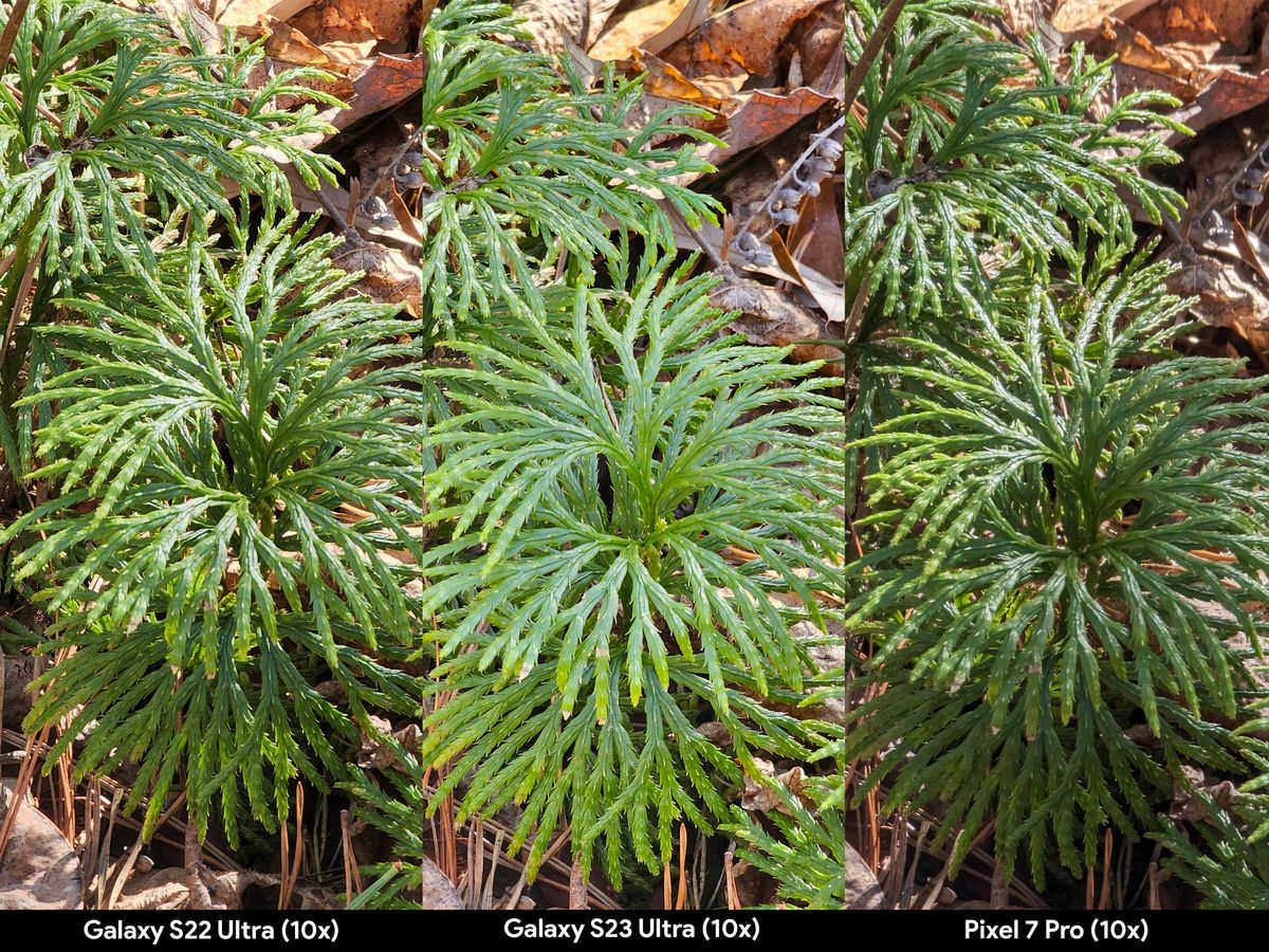 Comparing zoom levels between the Samsung Galaxy S23 Ultra, S22 Ultra, and Google Pixel 7 Pro