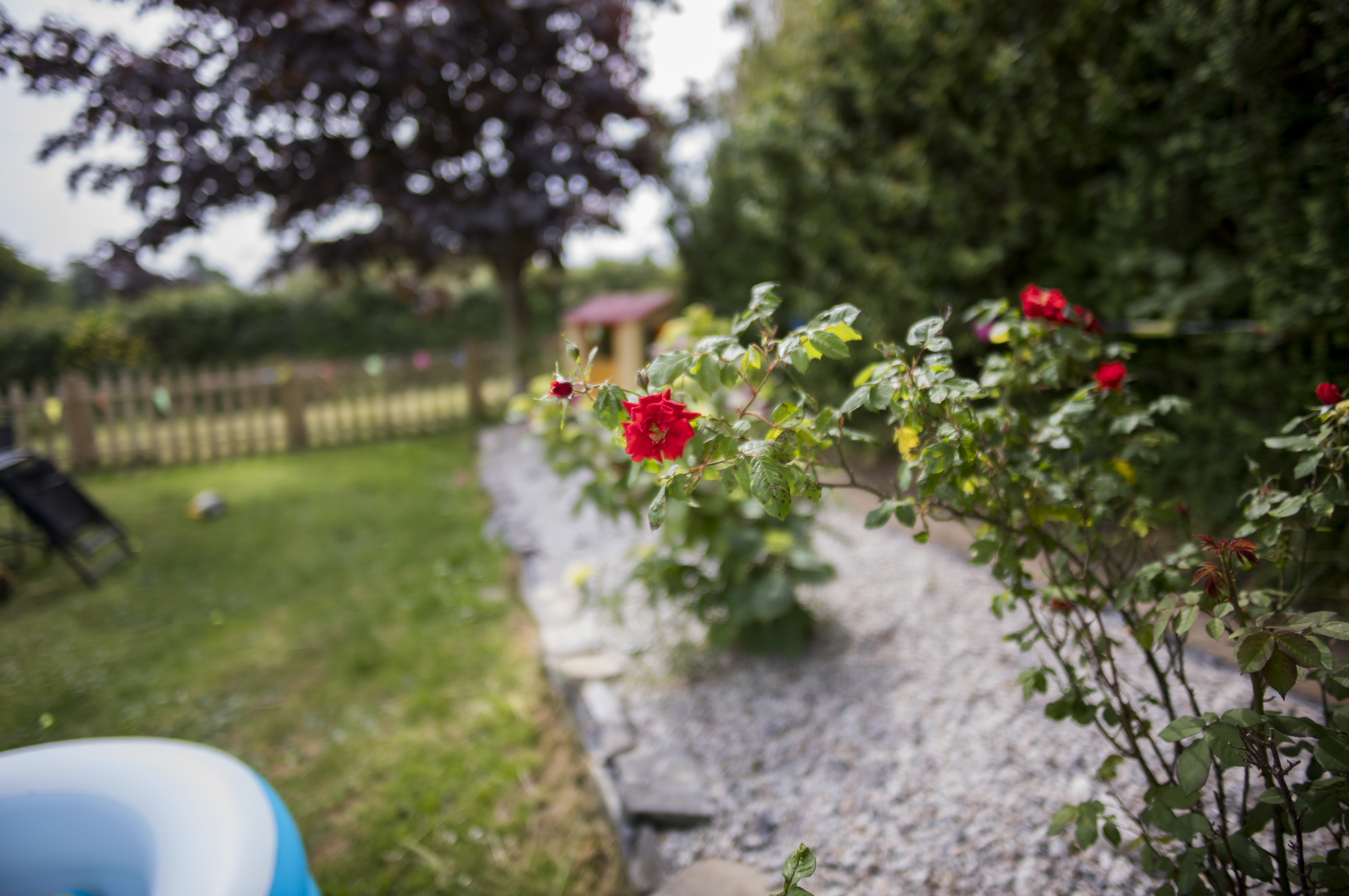 Leica 21mm Summilux-M f/1.4 ASPH image samples