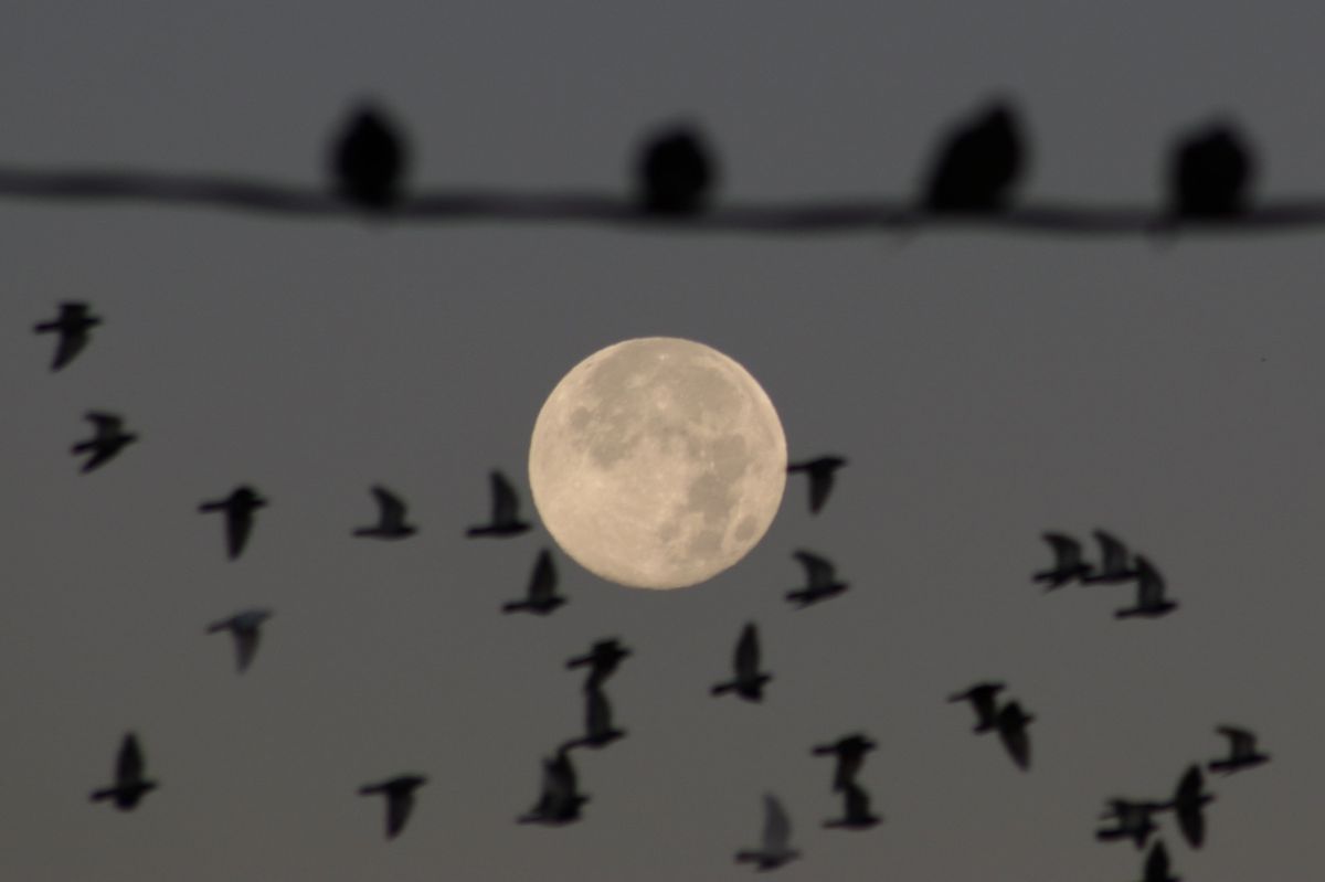 Last supermoon of 2024 wows skywatchers around the world with Full ...