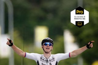 Matej Mohorič (Bahrain Victorious) wins in Le Creusot on stage 7 of the Tour de France