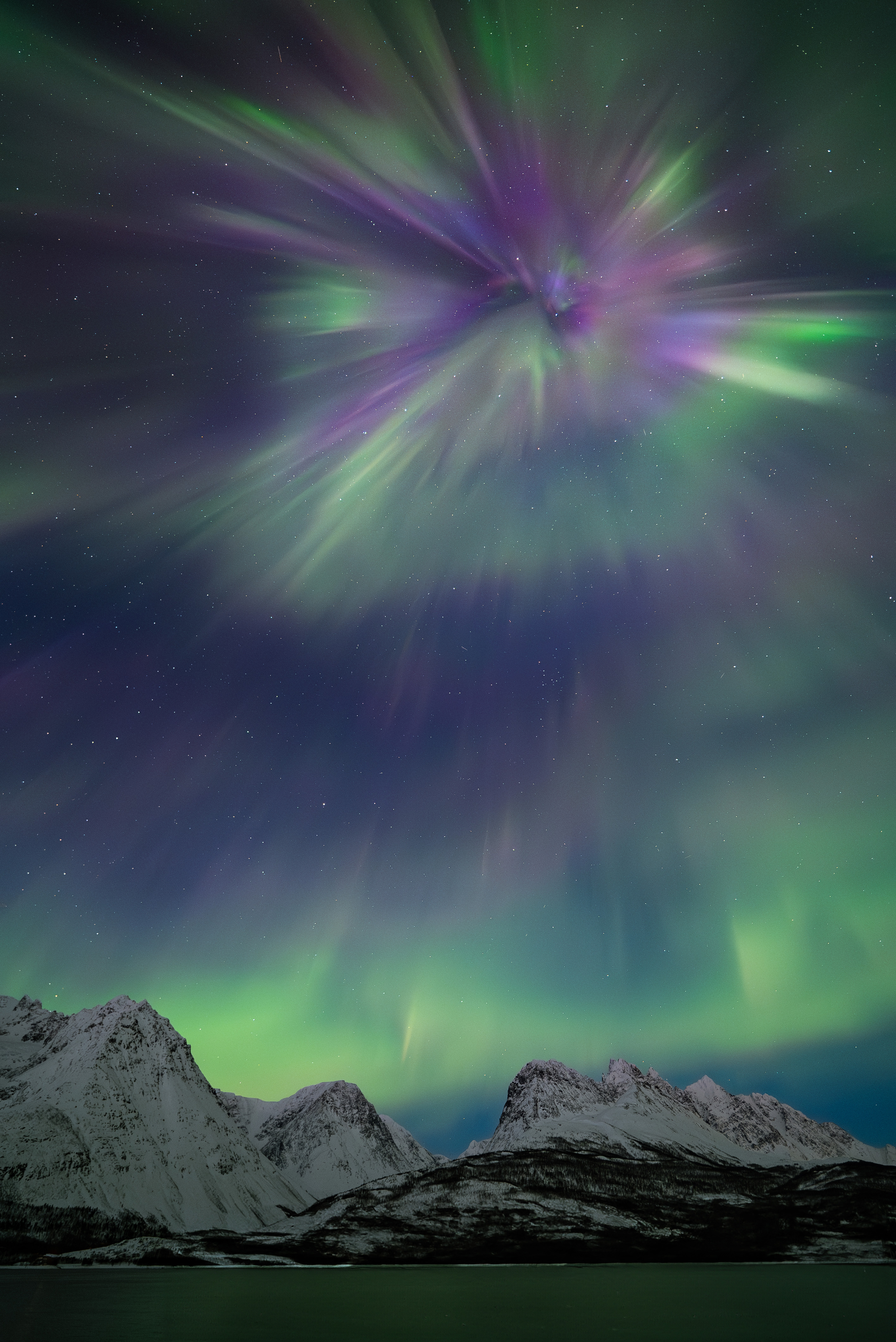 A firework looking aurora borealis shimmers purple and green in the night sky over the snowy mountains