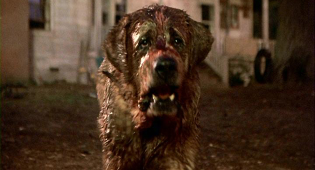 Cujo (Cujo)